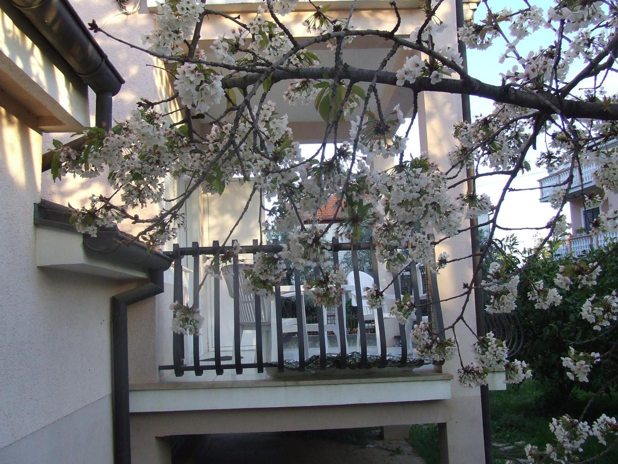 Villa Dalmatia Zadar Quarto foto